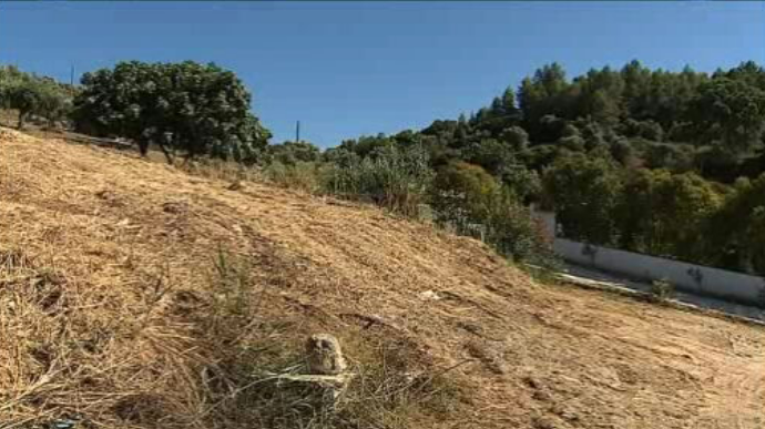 IMI dos terrenos ao abandono