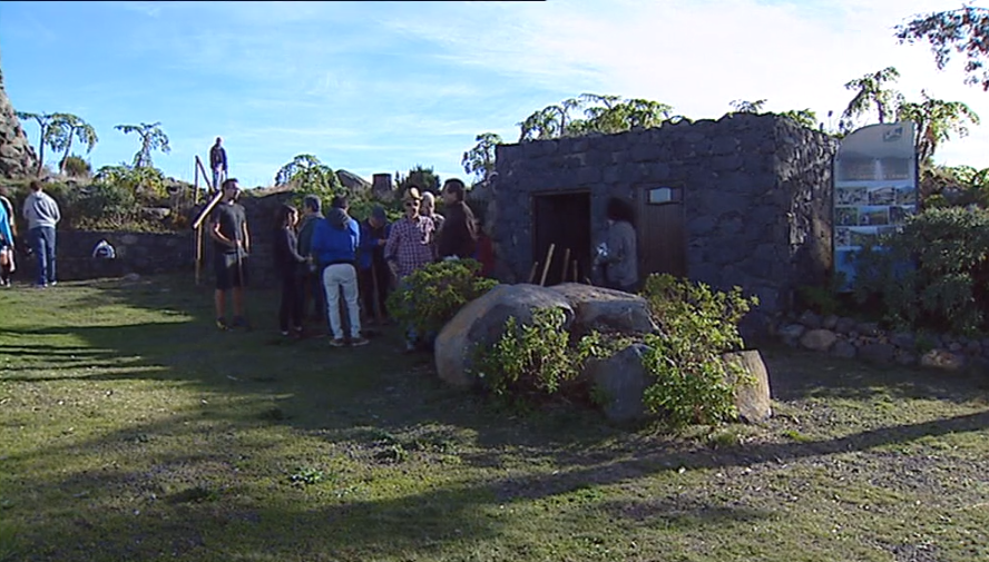 Plantio em altitude de espécies da Laurissilva para prevenção climática