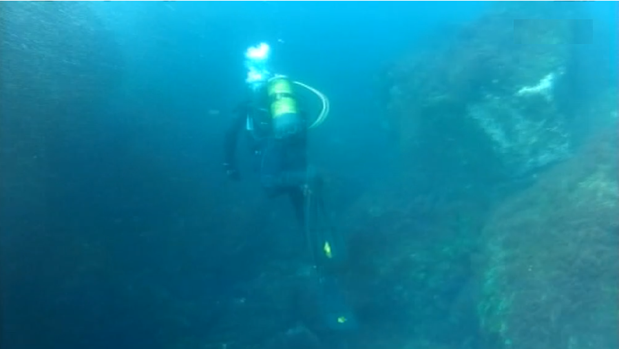 Operadores de mergulho dos Açores querem mais áreas protegidas