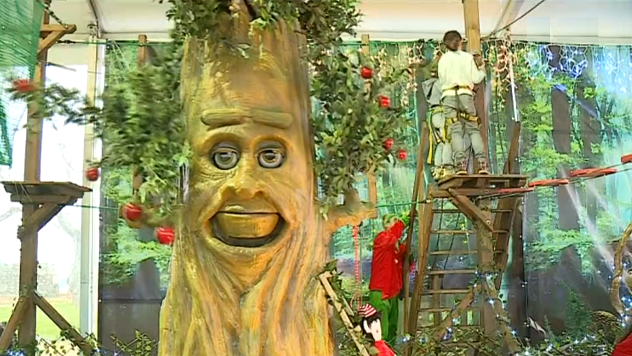 Valença, Cidade Natal I