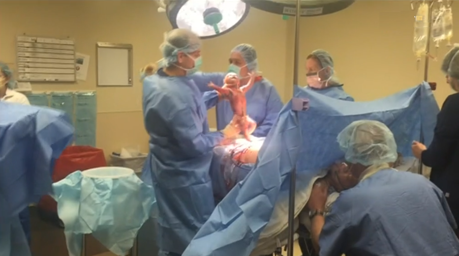 Procriação Medicamente Assistida