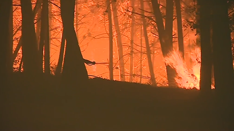 Bombeiros arguidos no processo de Pedrogão Grande