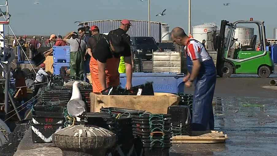 Negociações para quotas de pesca