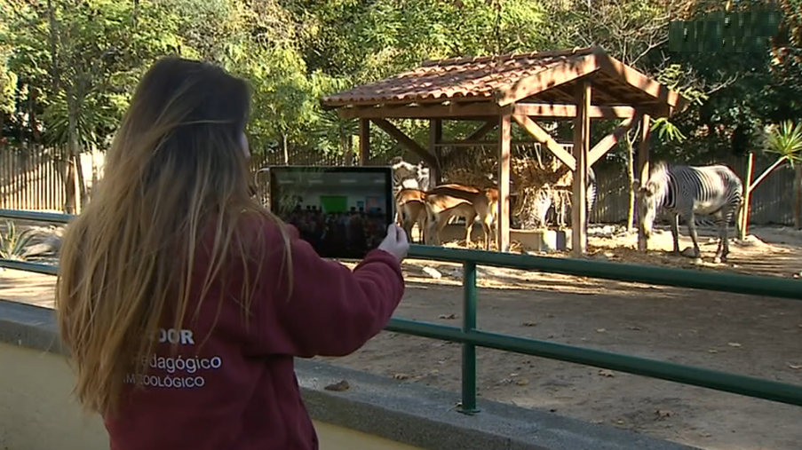 Visitas de estudo virtuais