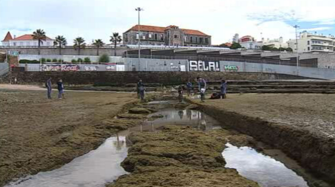 Projeto científico na Área Marinha Protegida da Praia das Avencas