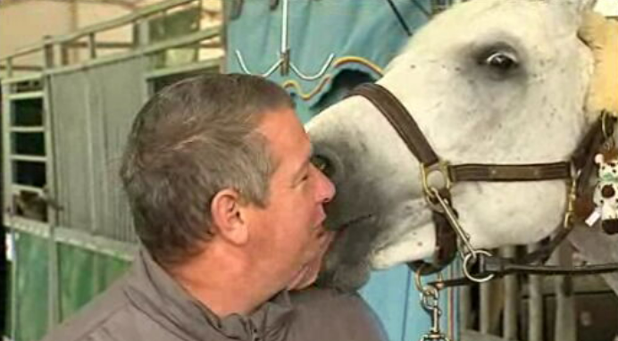 Circuito Mundial de Hipismo