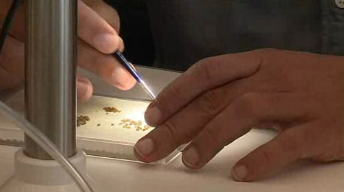 Fundação Champalimaud investiga as dietas