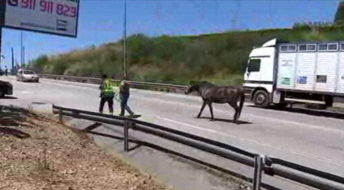 Fiscalização polémica do fisco a condutores