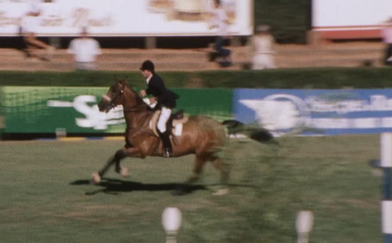 Hipismo: Concurso Internacional de Cascais