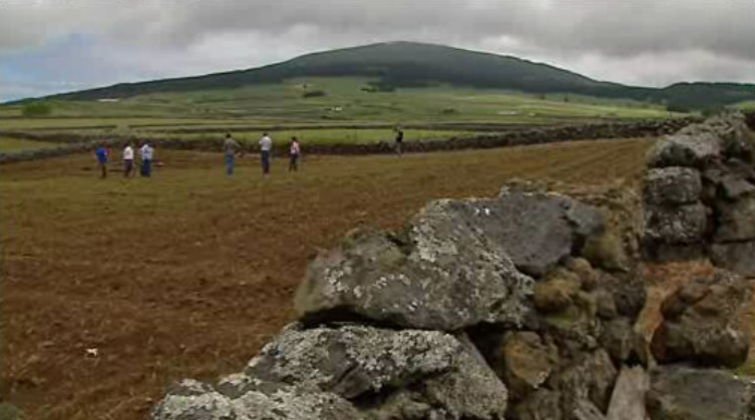 Avaliação de estragos na agricultura nos Açores