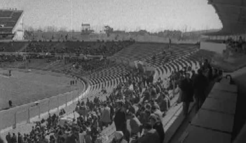 Futebol: Benfica vs Farense