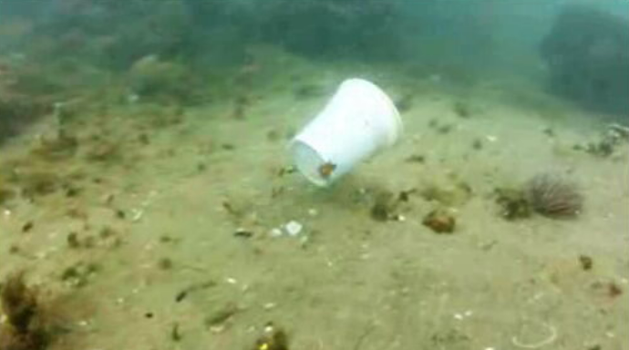 Planeta afogado em plástico