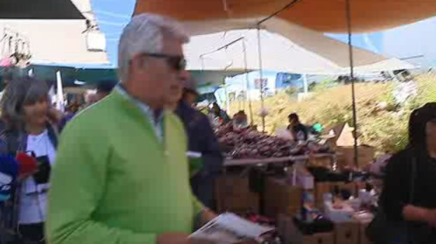 Eleições Europeias 2019: Campanha eleitoral do PURP e do PAN