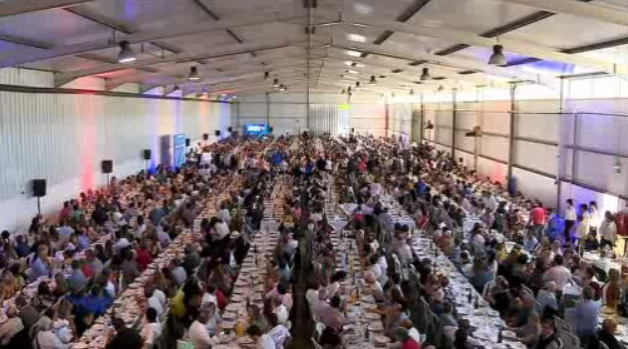 Eleições Europeias 2019: Comício do PS em Mangualde