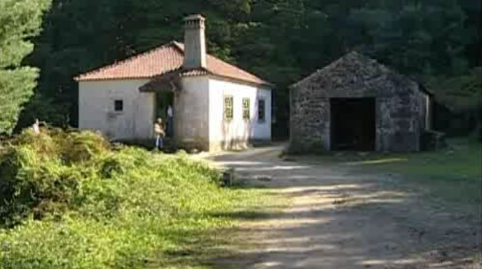 Detidos suspeitos de terrorismo