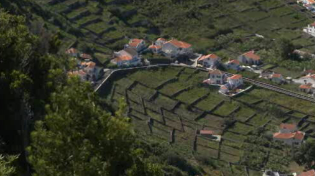 Paisagem vitivinícola na Ilha de Santa Maria