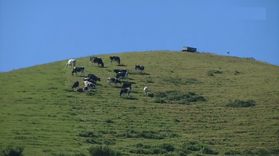 Situação na agricultura