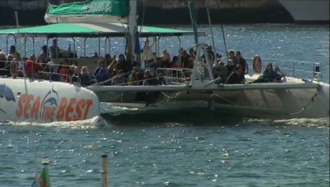 Procura por passeios de barco no Natal na Madeira