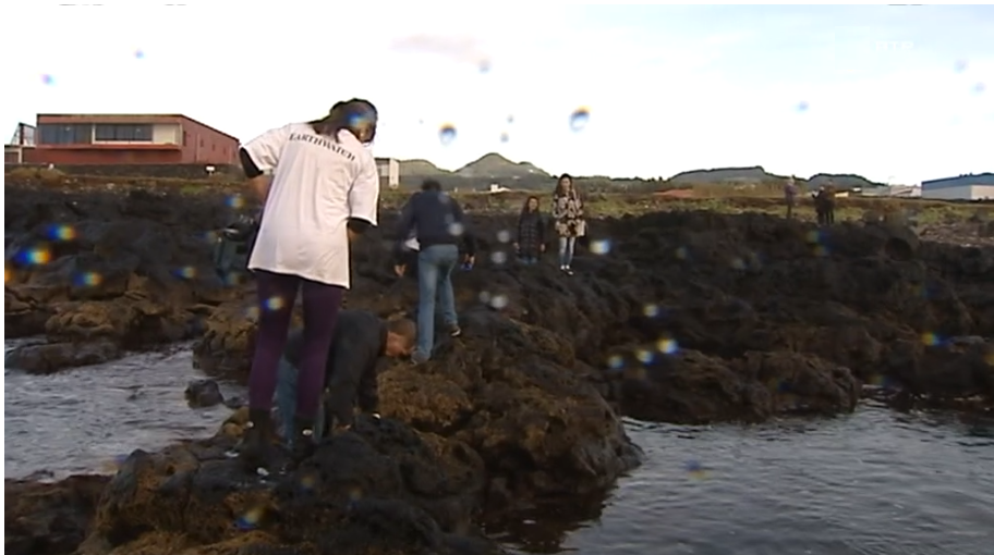 Cientistas recolhem algas nos Açores