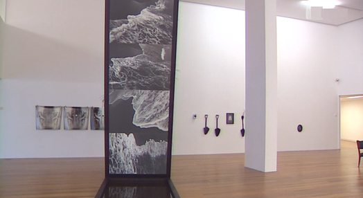 Exposição de António Barros