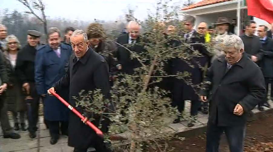 Natal em Pedrógão Grande