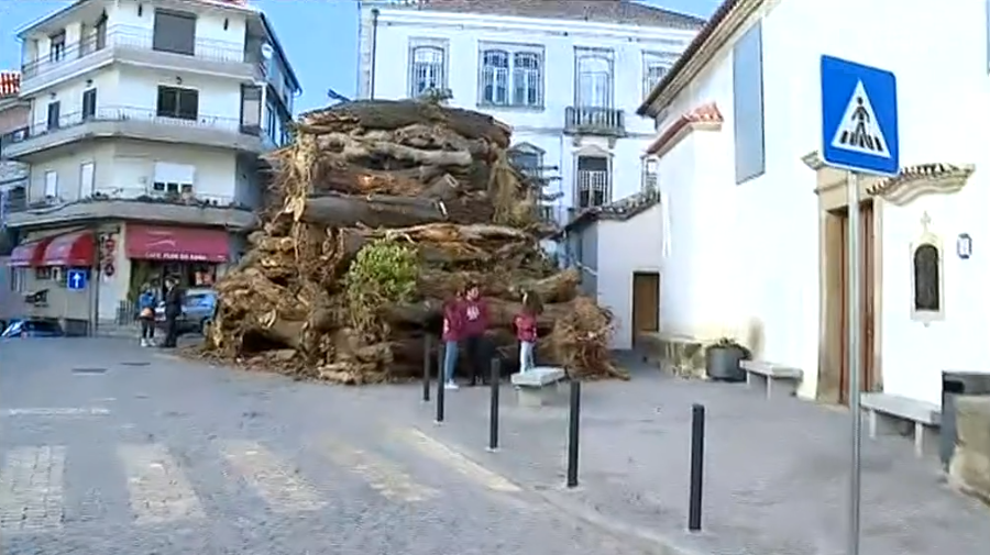 Tradição do Madeiro de Penamacor