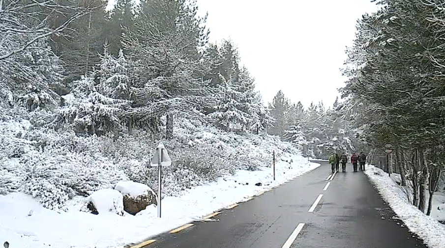 Queda de neve na Serra da Estrela