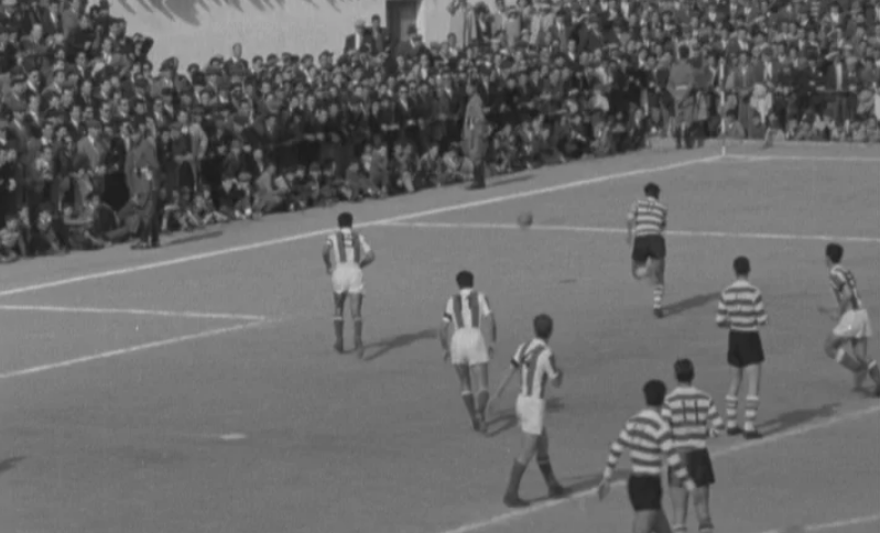 Futebol: Barreirense vs Sporting