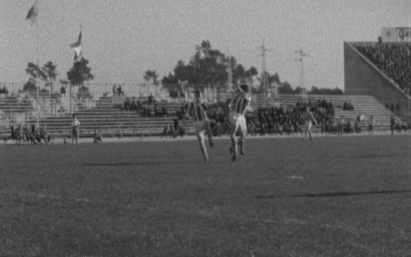 Futebol: FC Porto vs FK Áustria