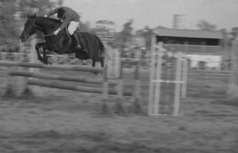 Hipismo: abertura da temporada hípica