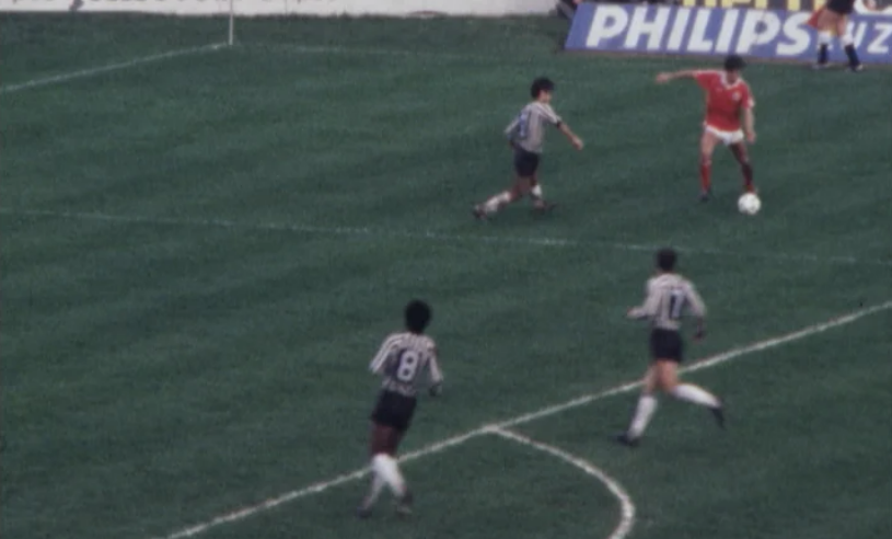 Futebol: Benfica vs Portimonense
