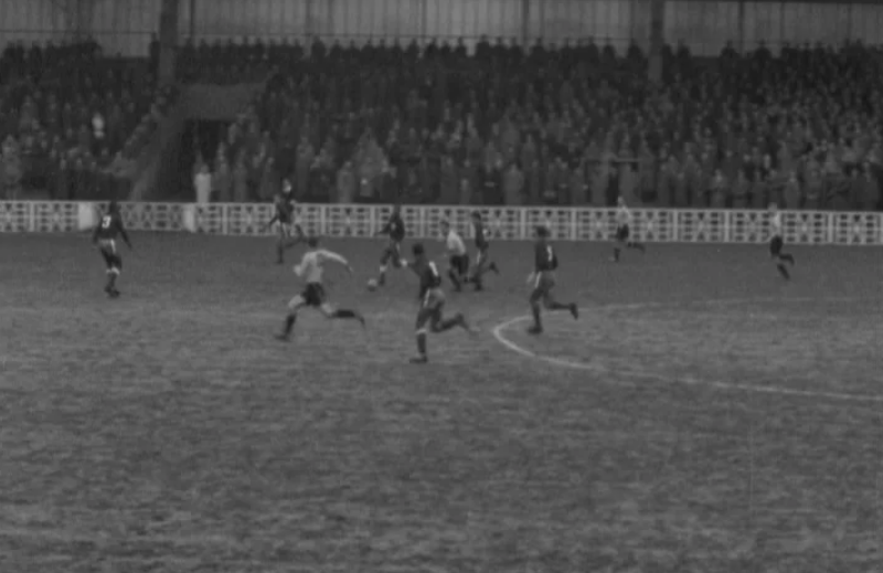 Futebol: Bélgica vs Portugal