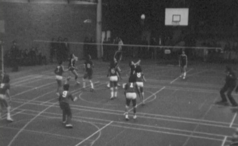 Voleibol feminino: CDUL vs Benfica