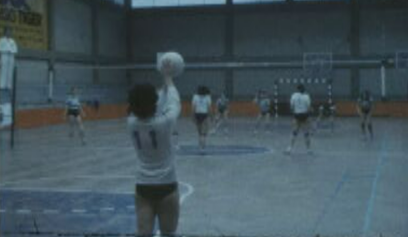 Voleibol Feminino: Atlético vs Sporting