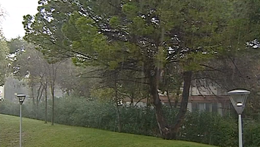 Alertas de mau tempo