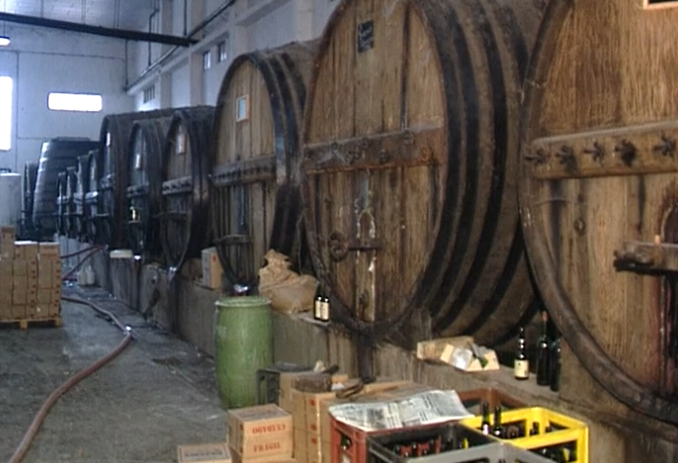 Região Duriense e Vinhos Verdes