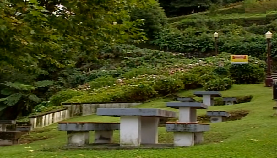 Consequências da geotermia na Ribeira Grande