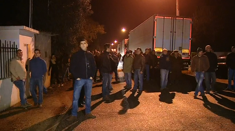 Contestação na suinicultura