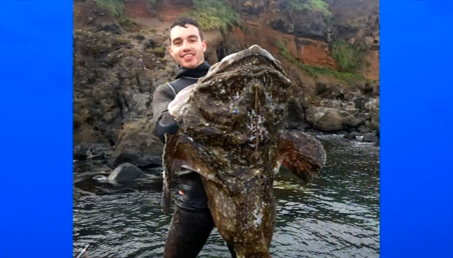 Recorde de caça submarina na Ilha Terceira