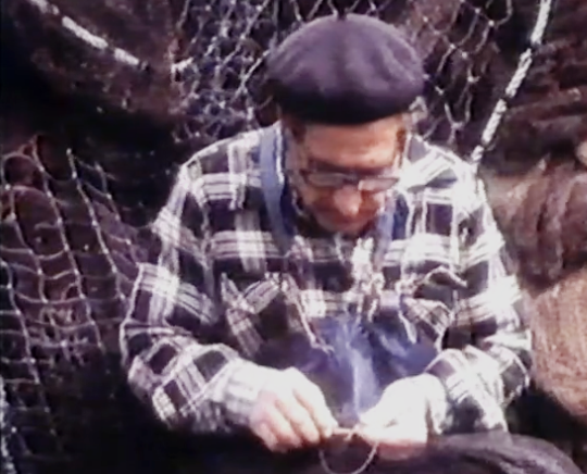 Canção “Venham Mais Cinco”