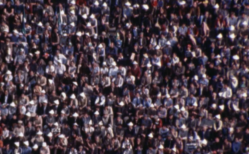 Futebol: Sporting vs Penafiel