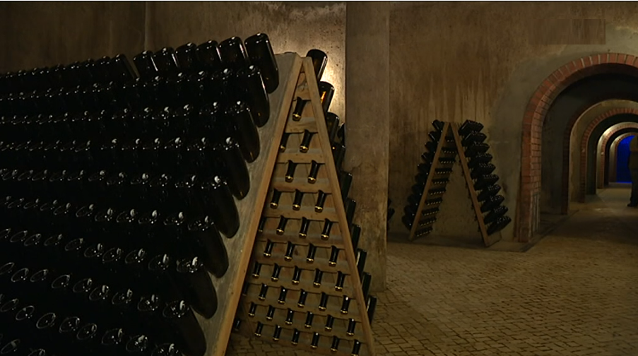 Adega de vinho de sucesso em Cantanhede