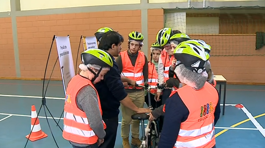 Defesa do ambiente nas escolas I