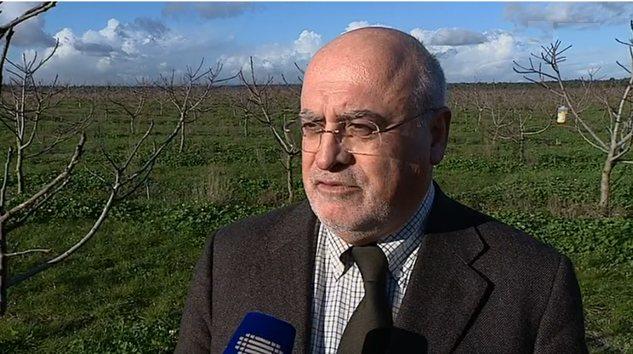 Plano Desenvolvimento Rural 2020