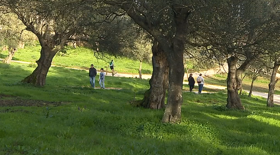 Novo espaço verde na Bobadela