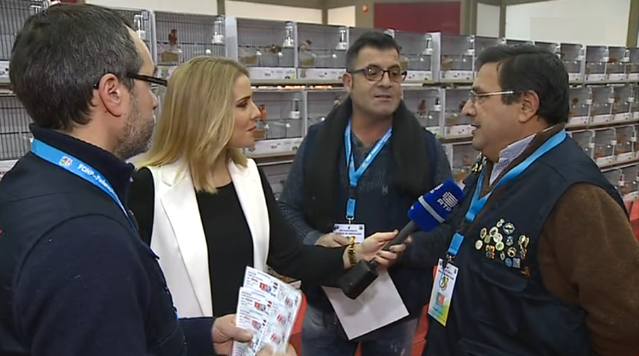 Campeonato Mundial de Ornitologia em Matosinhos II