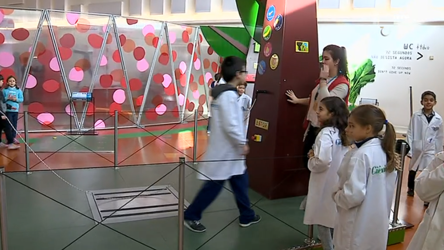 Exposição sobre vida e alimentação saudável II