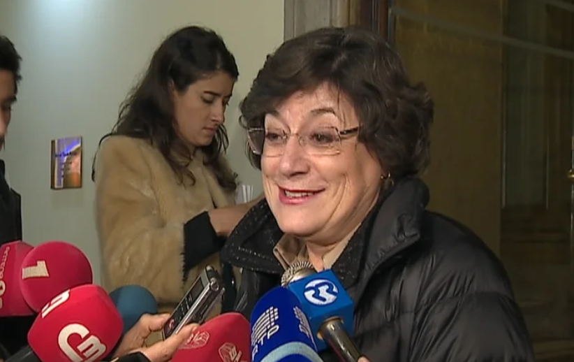 Declarações de Ana Gomes