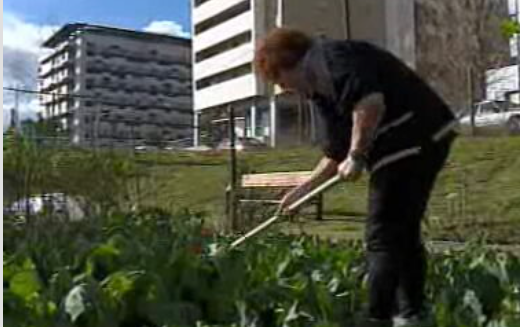 Prémio de caráter ambiental