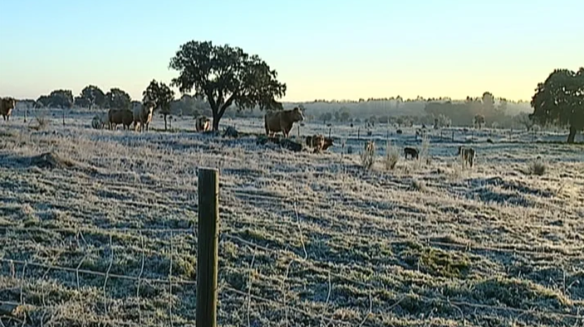 Beira Interior gelada